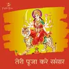 About Teri Puja Kare Sansar Song