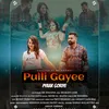 About Pulli Gayee Pyaar Goriye Song