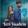 About Teri Yaadein Song