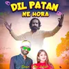 About Dil Patan Ne Hora Song