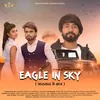 Eagle In Sky