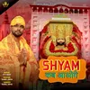 About Shyam Kab Aaoge Song