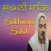 Sukhmani Sahib Paath