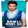 About Bawli Hori Se Song