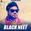 About Black Neet Song