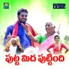 About Puttamida Puttindhi Song