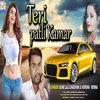 About Teri Patli Kamar Song