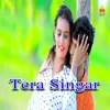 About Tera Singar Song