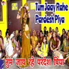 Tum Jaay Rahe Pardesh Piya