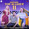About Haryanvi Top Mashup 11 (Feat. Rahul Bhati, Radhey Dadupur) Song