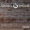 About Iris Song