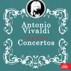 Concerto for Flute, Oboe, Violin, Bassoon and Basso Continuo in G Minor: I. Allegro