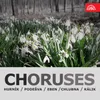 Symfonietta. Four Mixed Choruses: I. Louka