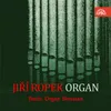 Organ Sonata No. 1 in E-Flat Major, BWV 525: III. Allegro