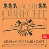 Missa super Maria Zart: Qui Tolis II