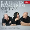 Piano Trio No. 3 in C Minor, Op. 1: No. 3, Menuetto. Quasi allegro - Trio