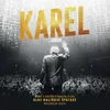 About Karel gott hovoří o písni together again Song