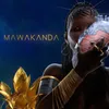 About Mawakanda Song