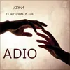 About Adio Song