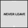 About Never Leave Song