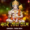 About Sare Tirath Dham Song