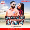 About Dil Mera Kho Gaya Tere Pyar Me Song