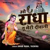 About O Radha Tu Meri Diwani Song