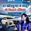 About Tere Fortuner Me Moku Bhi Bithale Rasiya Song