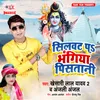 About Silver Pa Bhangiya Pisatani Song