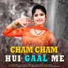 About Cham Cham Hui Gaal Me Song