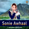About Sonie Awhaal Song