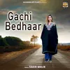 About Gachi Bedhaar Song