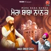 About Mera Baba Nanak Song