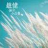 About 稻草中的火雞 Song