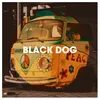 Black Dog