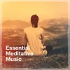 About Meditation Song