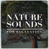 Natural Sounds: Sea