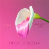 About Просто весна Song