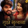 About Tujhe Bhulana Song