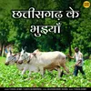 About Chhattisgarh Ke Bhuiya Song