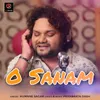 About O Sanam Song