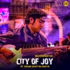 About City of Joy Song