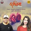 About Zaalima Song