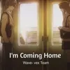 About I'm Coming Home Song