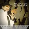 About Mi Mayor Fortuna Song
