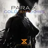 About Cold Shadows Extended Mix Song