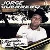 Guayabo Pisa Jarrete