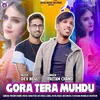 About Gora Tera Muhdu Song