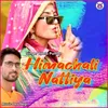 About Himachali Nattiya Song