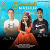 About Himachali Mashup Song